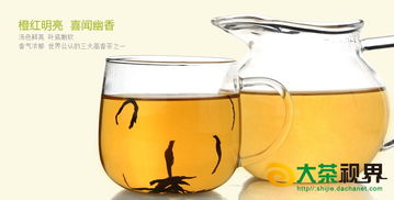 正山小種紅茶批發(fā) 廠價直供與移動互聯(lián)網(wǎng)研發(fā)維護(hù)新視界